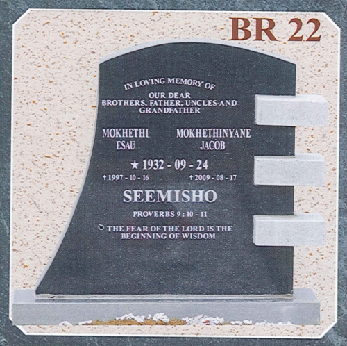BR22-image