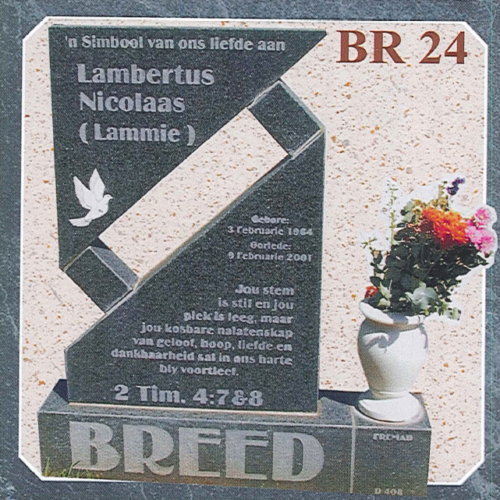 BR24-image